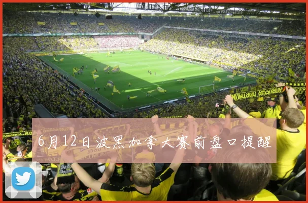 6月12日波黑加拿大赛前盘口提醒