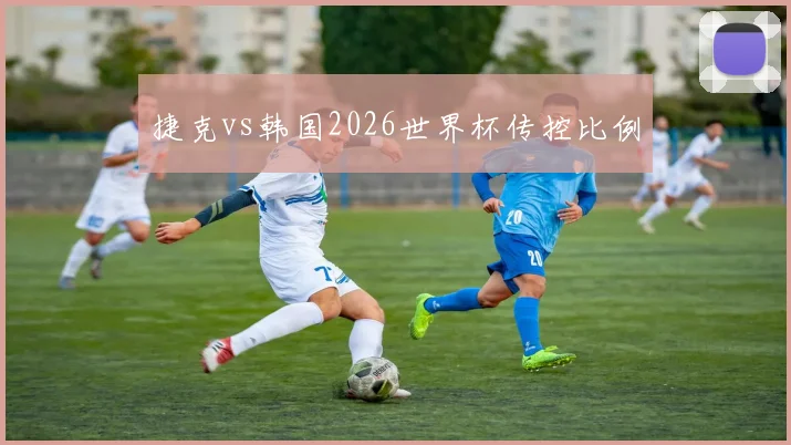 捷克vs韩国2026世界杯传控比例
