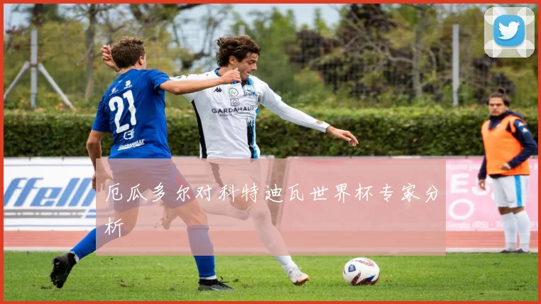 厄瓜多尔对科特迪瓦世界杯专家分析