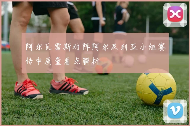 阿尔瓦雷斯对阵阿尔及利亚小组赛传中质量看点解析