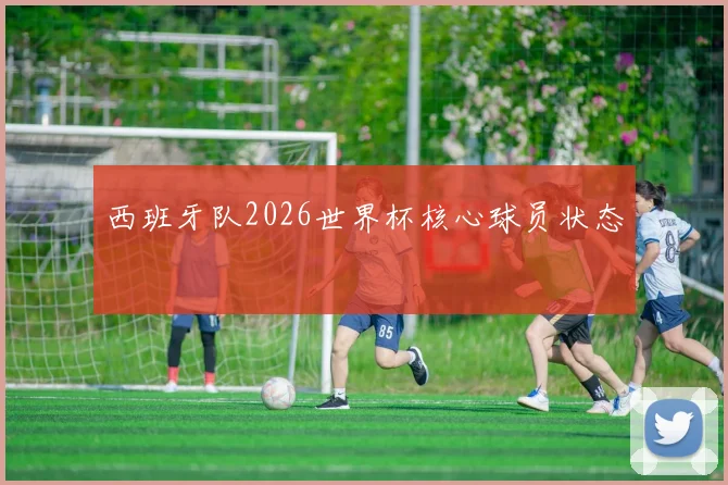 西班牙队2026世界杯核心球员状态