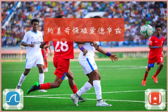 约基奇强碰爱德华兹