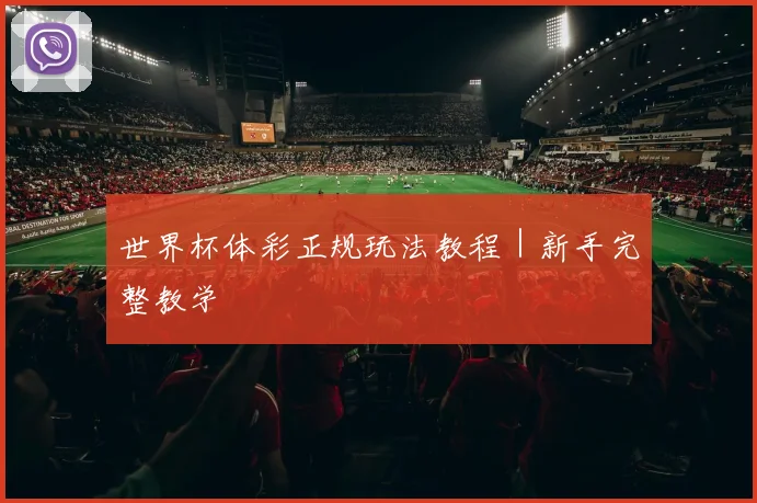 世界杯体彩正规玩法教程｜新手完整教学
