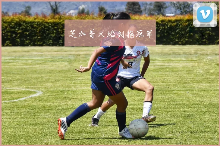 芝加哥火焰剑指冠军