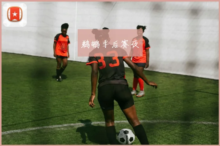 鹈鹕季后赛夜