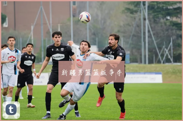 新疆男篮篮板争夺