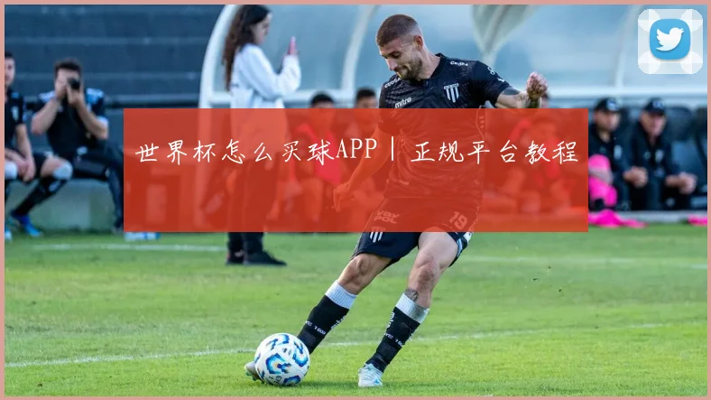 世界杯怎么买球APP｜正规平台教程