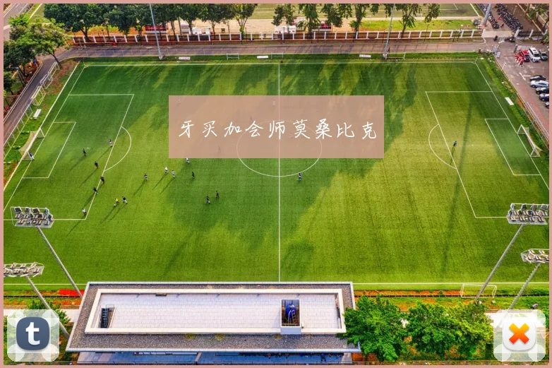 牙买加会师莫桑比克