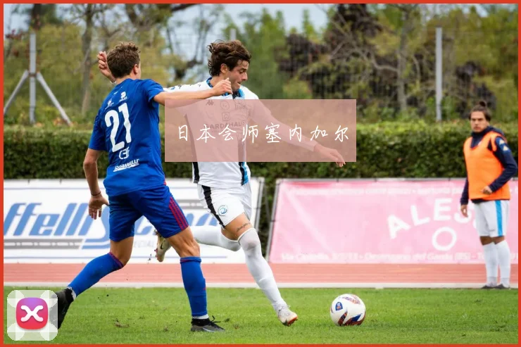 日本会师塞内加尔