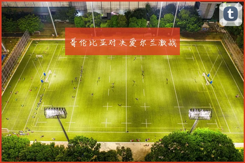 哥伦比亚对决爱尔兰激战