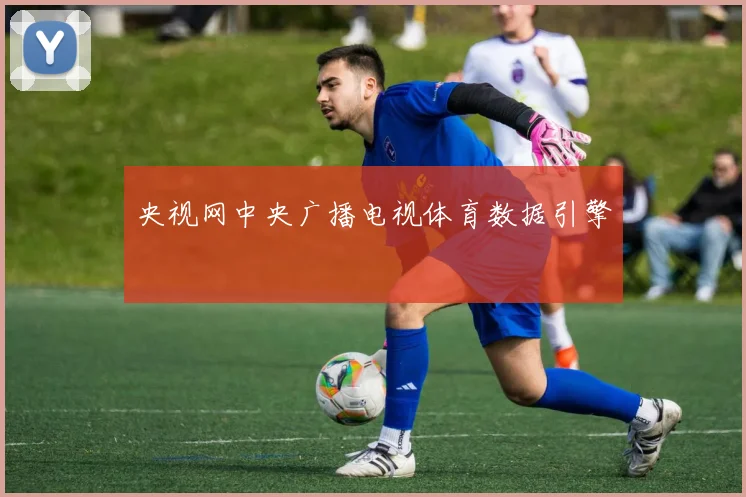央视网中央广播电视体育数据引擎