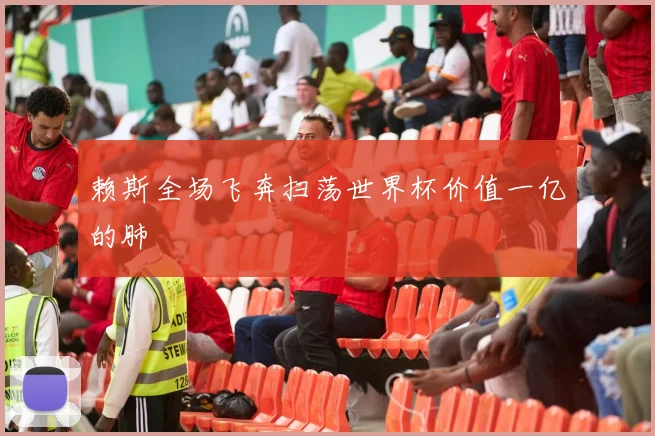 赖斯全场飞奔扫荡世界杯价值一亿的肺