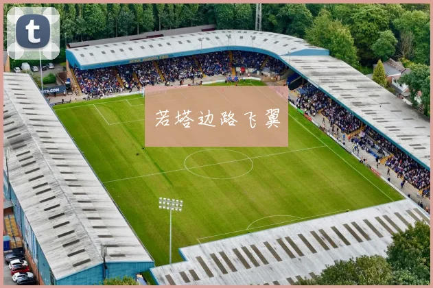 若塔边路飞翼