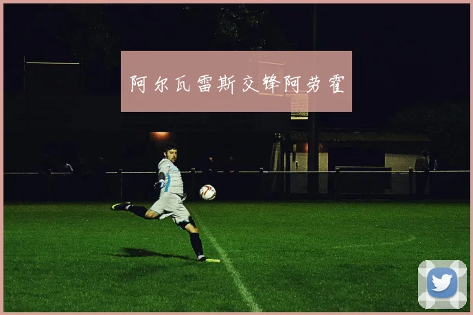 阿尔瓦雷斯交锋阿劳霍