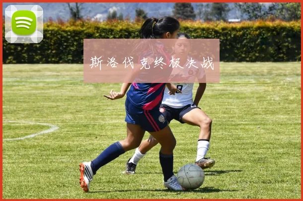 斯洛伐克终极决战