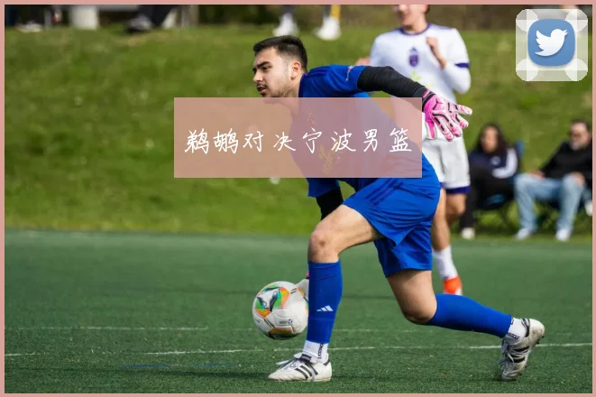 鹈鹕对决宁波男篮
