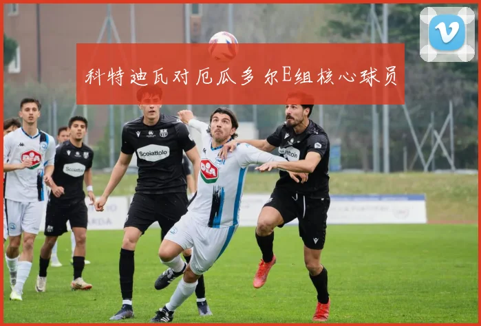 科特迪瓦对厄瓜多尔E组核心球员