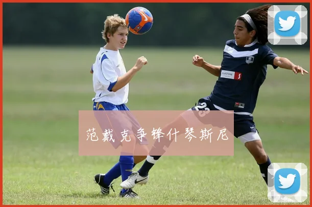 范戴克争锋什琴斯尼
