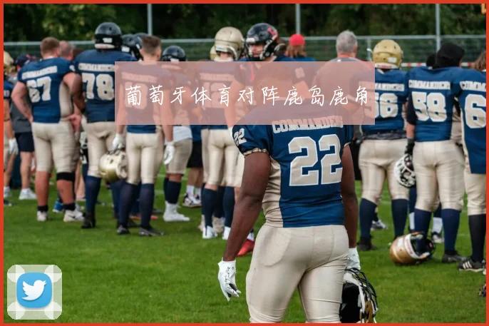 葡萄牙体育对阵鹿岛鹿角