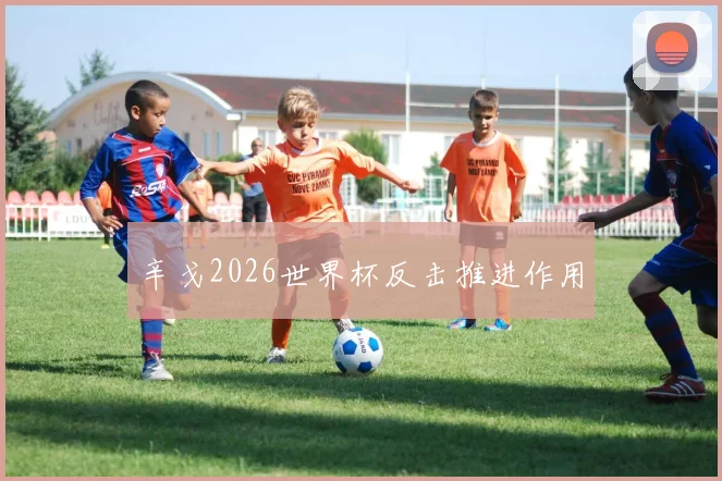 辛戈2026世界杯反击推进作用