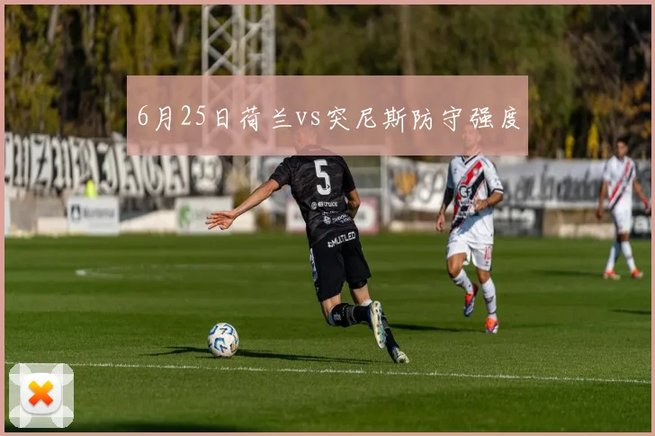 6月25日荷兰vs突尼斯防守强度